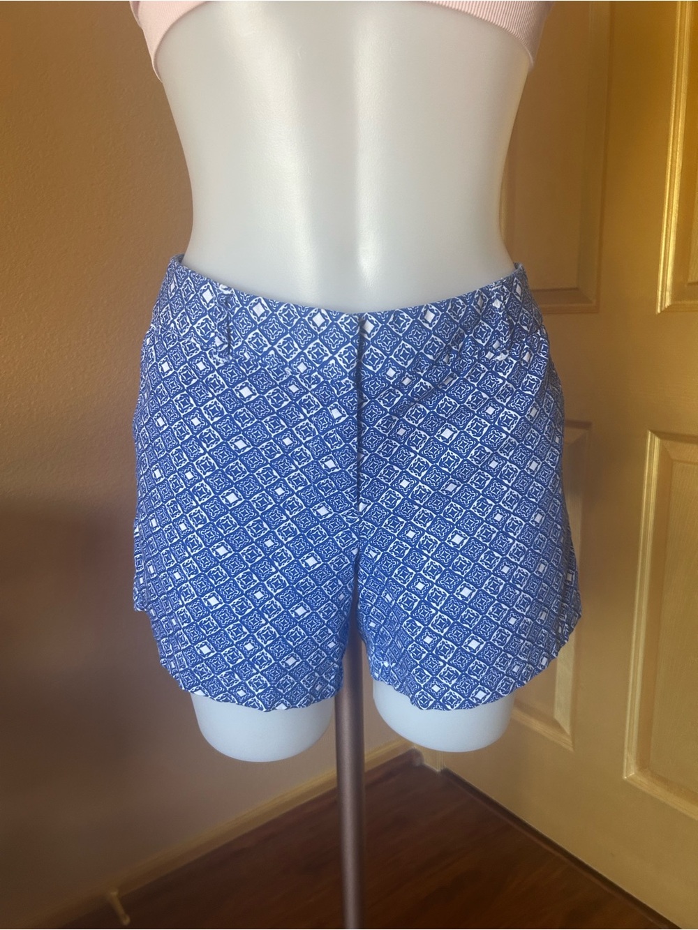 Land N Sea shorts